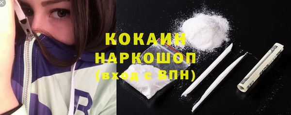 spice Верея