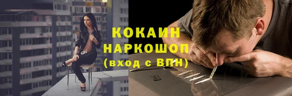 шишки Верхний Тагил