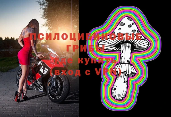 шишки Верхний Тагил