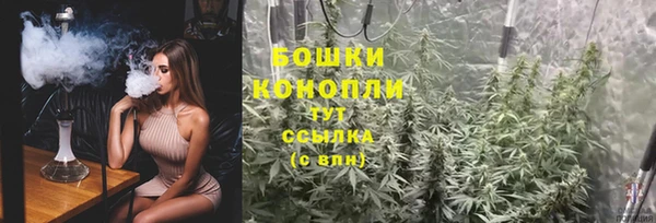 шишки Верхний Тагил