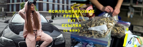spice Верея
