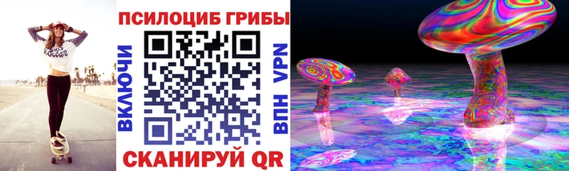 blacksprut как зайти  Пересвет  Галлюциногенные грибы мицелий 